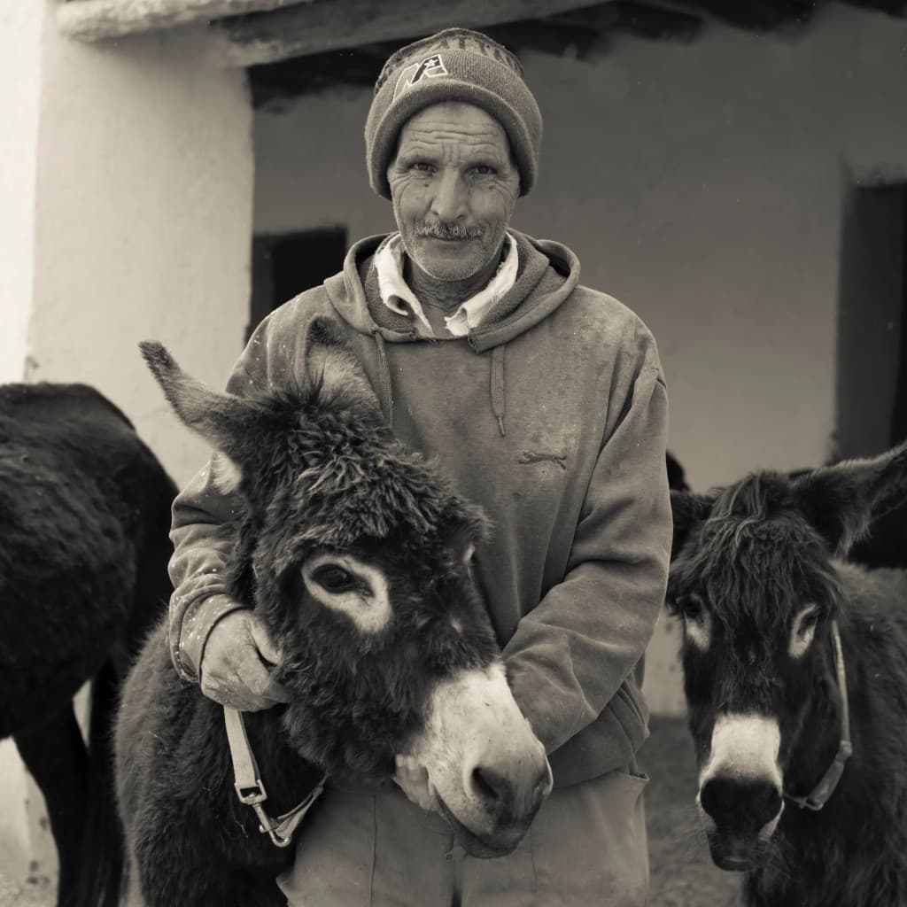 Flock of sheep and shepherdess in Morocco